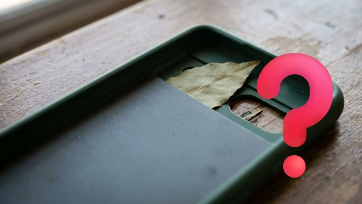 El significado oculto de llevar una hoja de laurel en la funda del celular