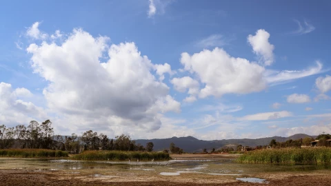 Morelia Michoacán (2).png