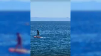 vacaciones de los famosos