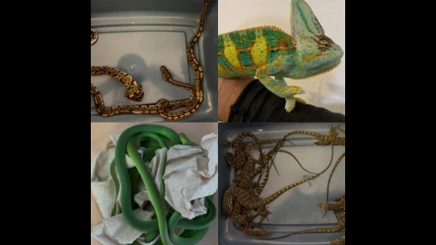 WhatsApp Image 2020-06-24 at 15.40.33.jpeg