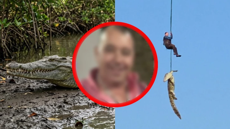 Cuerpo de empresario hotelero habría sido encontrado dentro de un cocodrilo en Sudáfrica