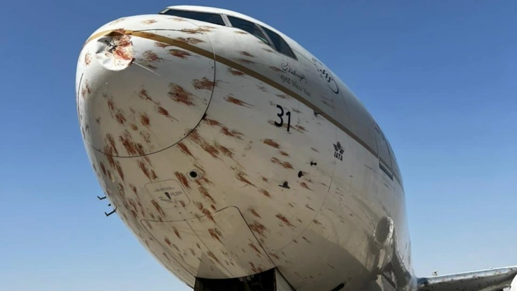 Aves chocan contra un avión.jpg