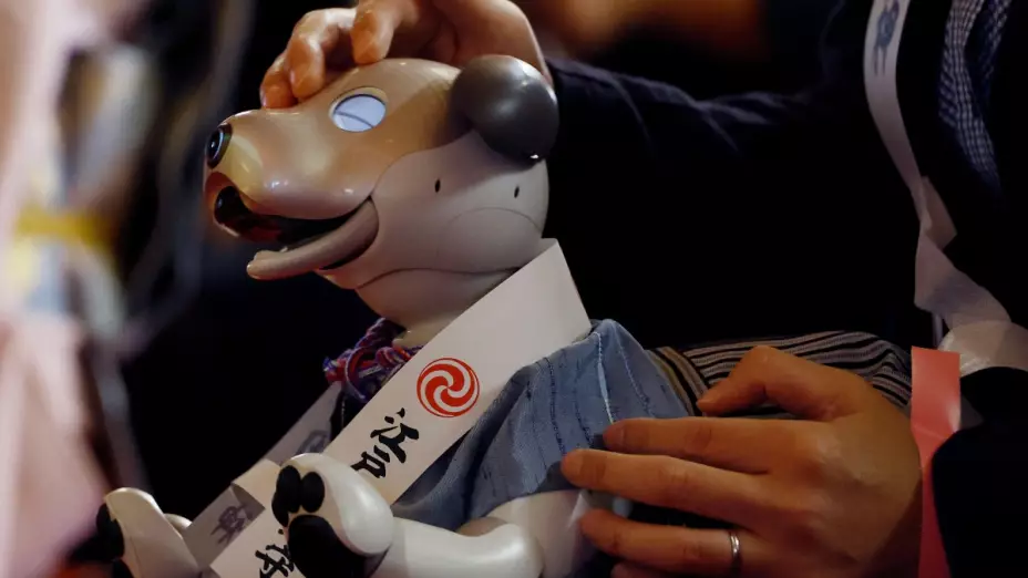 perros robot