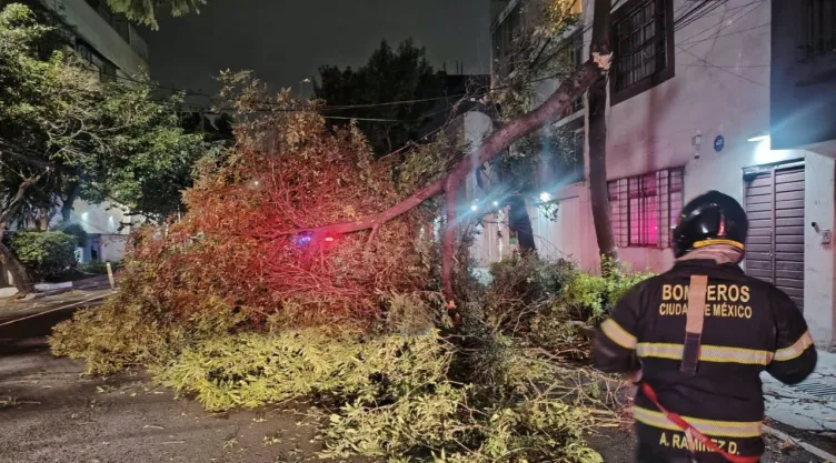 Caída de árbol en la Del Valle: Baches, socavones, hundimientos y accidentes en CDMX HOY 27 de octubre