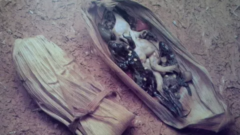 Así son los tamales de Rana Toro en Oaxaca