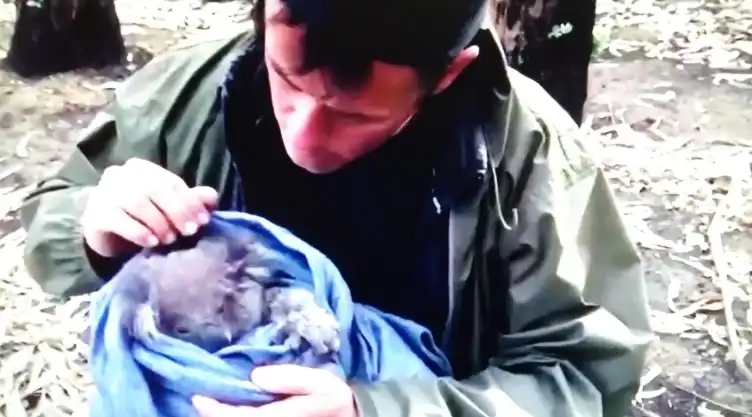 Conoce a Douglas Thron rescatista de animales en zonas de desastre