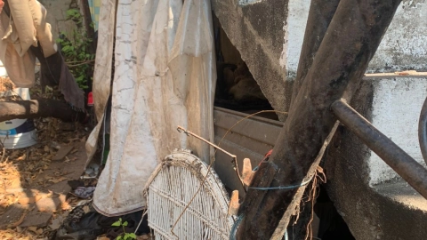 localizan mujer de la tercera edad sin vida