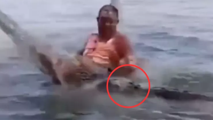 VIDEO | Hombre estaba acostado en una hamaca en pleno lago cuando fue cazado por un cocodrilo