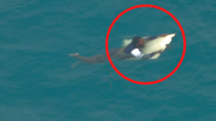 Aferrado a tabla en el mar, hombre sobrevive 24 horas entre tiburones