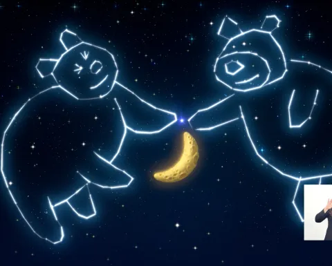 masha y el oso - tee para tres
