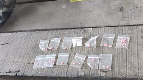 FGE cumple orden de cateo y aseguran drogas en Quintana Roo