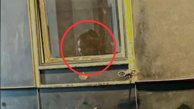 captan a fantasma en el reflejo de un carruaje en el castillo de chapultepec.jpg