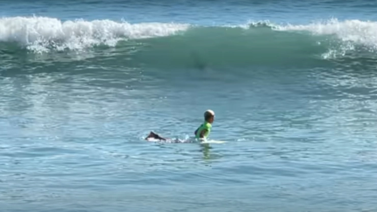 nino-surfista-tiburon-florida