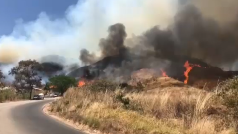 Traficantes de especies en Chiapas causan incendios.png