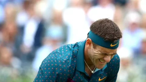 Juan Martín del Potro