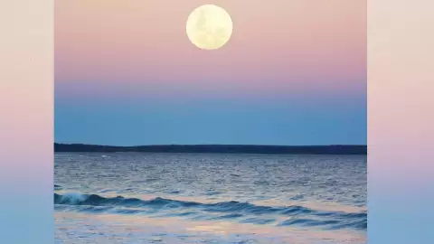 luna llena de maíz 2022