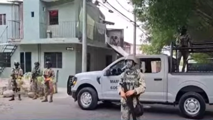 Desmantelan red de falsificadores de licencias, placas y facturas en Colima| VIDEO