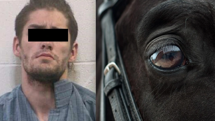 hombre viola a caballo en colorado