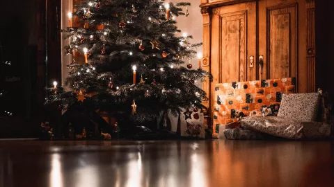 árbol de navidad según el feng shui