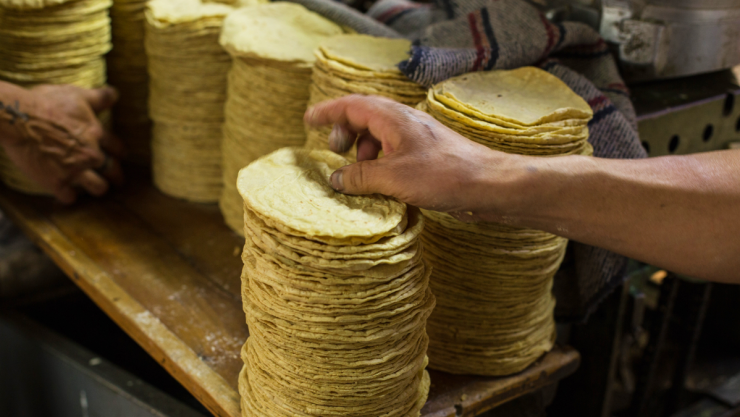 maseca-tortilla.jpg