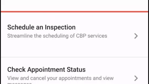 Cómo funciona CBP ONE