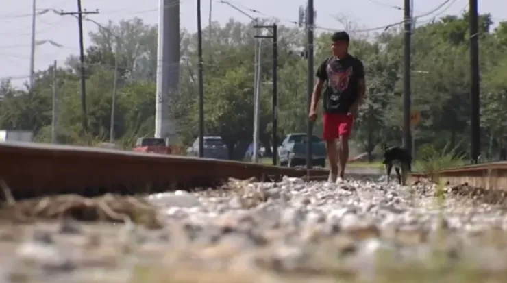 Viaja junto a su perro por 12 paises.jpg