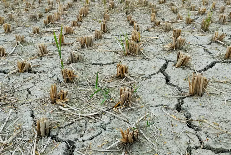 Conagua alerta por 5 estados que tienen sequía excepcional en México