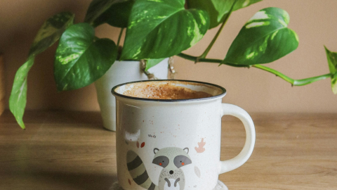 café en plantas beneficios