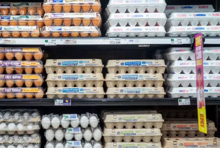 Crisis de huevo en EUA