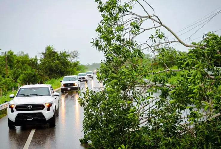 Viajes gratis en apoyo a los guerrerenses