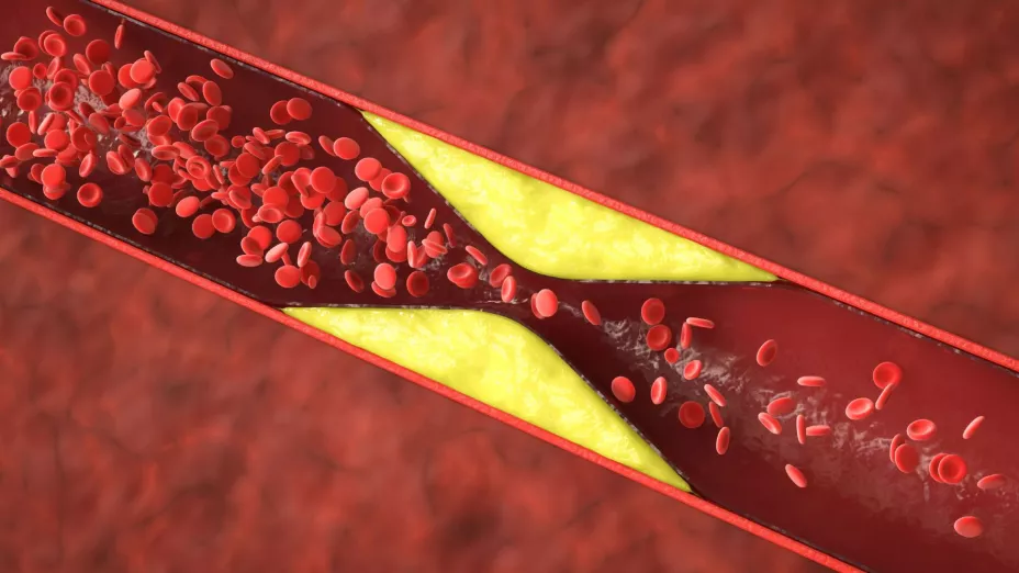 Cortesía imagen Laboratorios Silanes 8.jpg