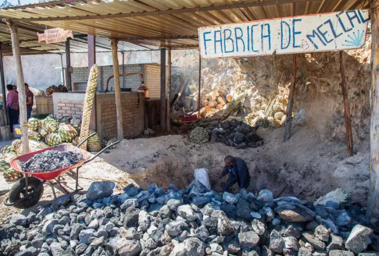 Mezcal Production in Oaxaca