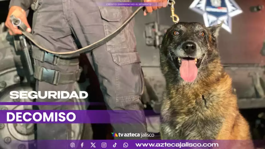 ¿En cajas de jabón Policías de Jalisco aseguran 25 kilos de droga en la Colonia Manantial.jpeg