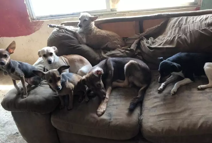 incendio refugio Nayarit