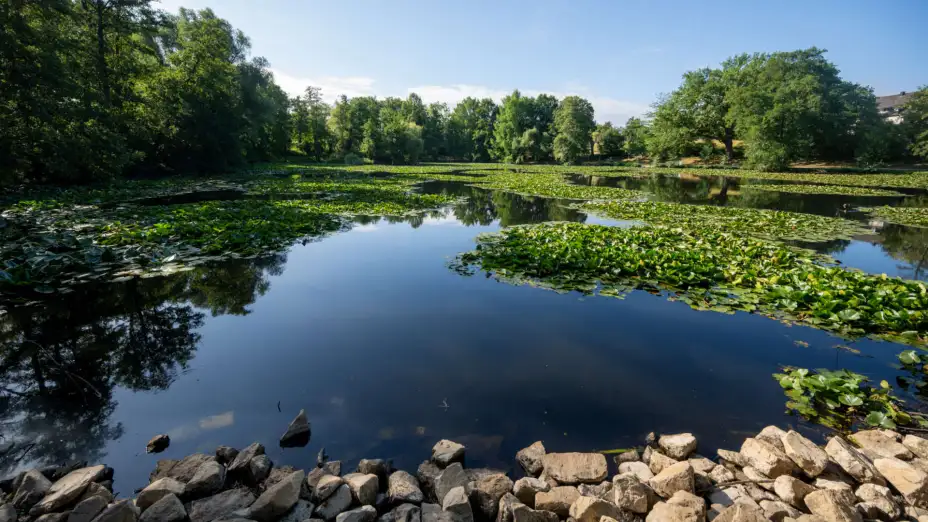 Bajos niveles de agua en la Laguna Mattheiser, Alemania.