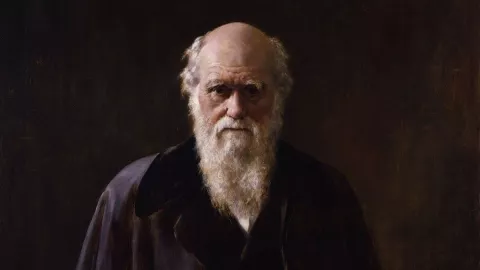 efemérides 24 de noviembre 2.jpg