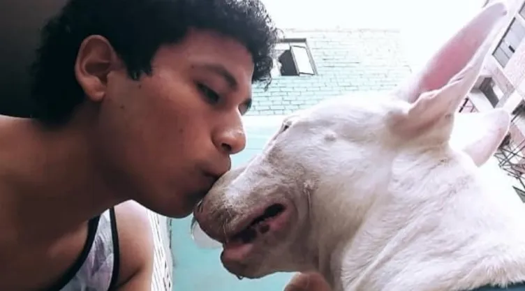 tesis-perro-duelo-mascotas-peru.jpg