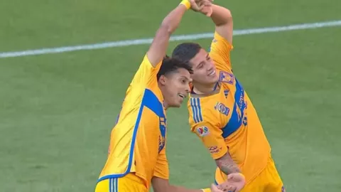 Tributo a Dragon Ball