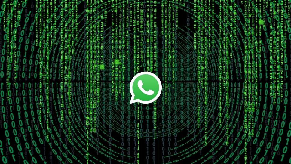 WhatsApp, sticker, vulnerable b.jpg