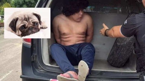 ¡Transmitía en vivo el asesinato y maltrato de animales! Joven es acusado de matar 100 perros