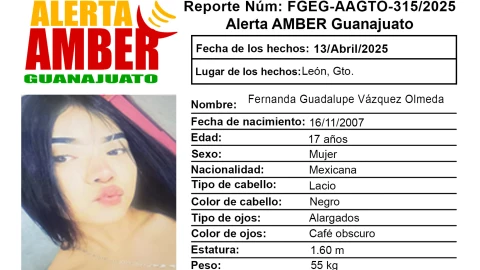 Desaparecidos Guanajuato ¿Quién es Fernanda Guadalupe Vázquez Olmeda y qué sabemos de su desaparición en León.png