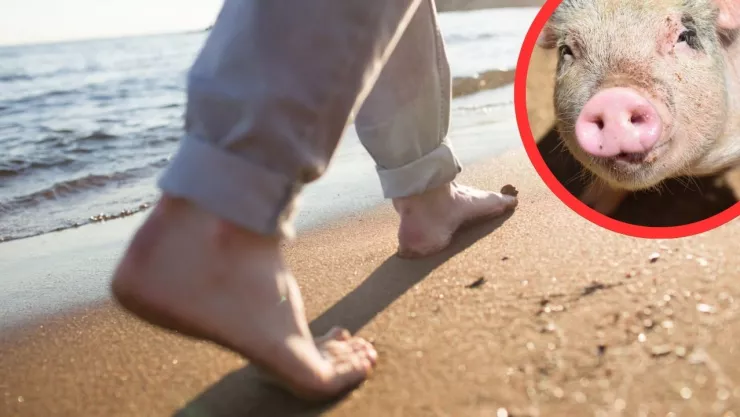 Vacaciones en las Bahamas derivan en cirugía de emergencia por infección grave