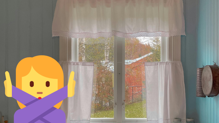 ventana de la cocina.png