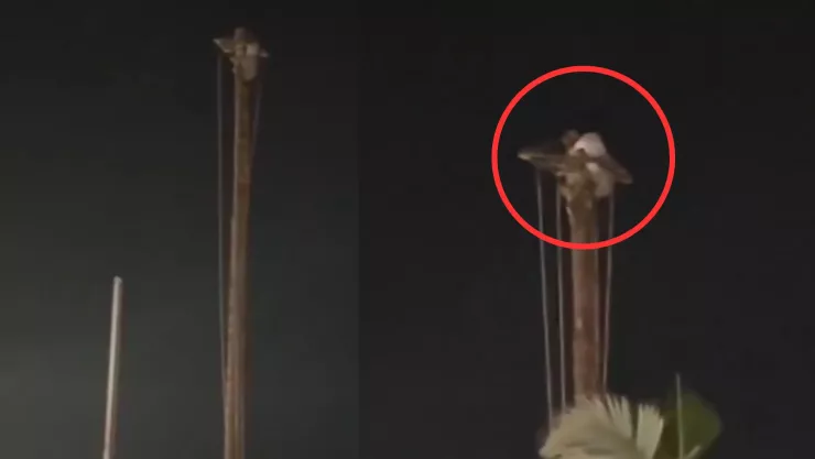 VIDEO | Mujer escala mástil de voladores en Cuetzalan, Puebla