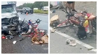 peregrinos atropellados Veracruz