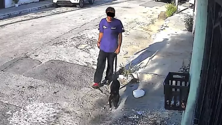 Presunto maltrato animal en Mérida_ Graban a hombre enterrando a una perrita en su patio trasero