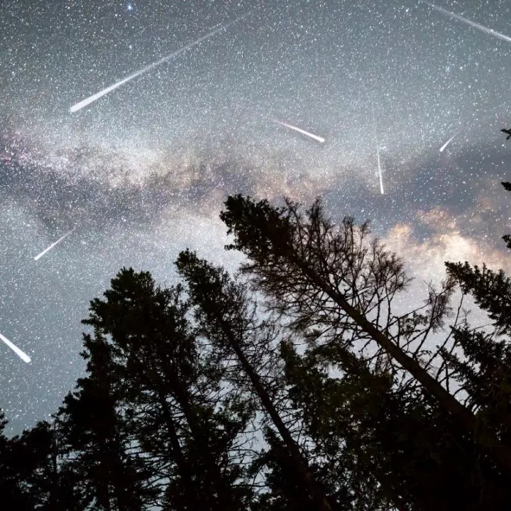 Cómo ver la lluvia de estrellas Úrsidas