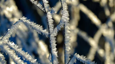¡Comienza el frío! Reportan 14 municipios de Jalisco con temperatura menores a 5°C