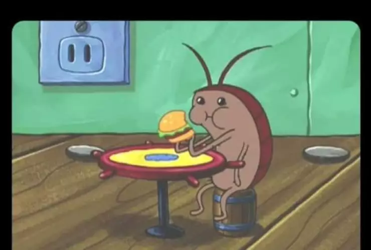 memes plaga de chinches