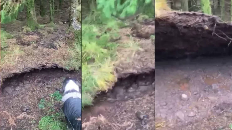 ¿La Tierra respiró? Hombre capta bosque levantándose del suelo en Escocia (VIDEO)